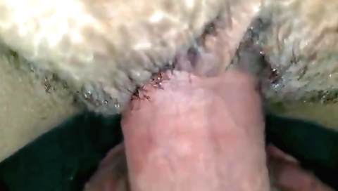 Indian hairy girl is fucking a hairy boy in close up