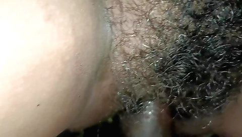 Indian girl with a hairy pussy fucked by her partner