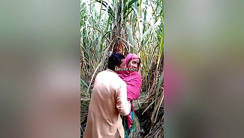Amateur brunette outdoors fucking vid with a hot babe